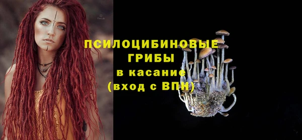 мяу мяу мука Слюдянка