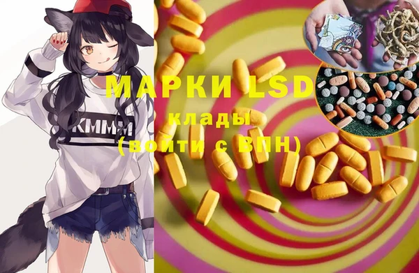 a pvp Снежногорск