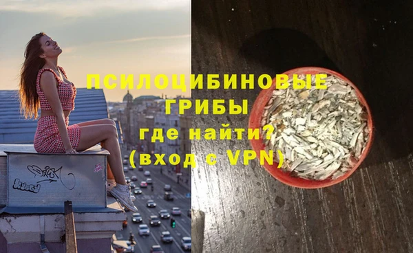 герыч Снежинск