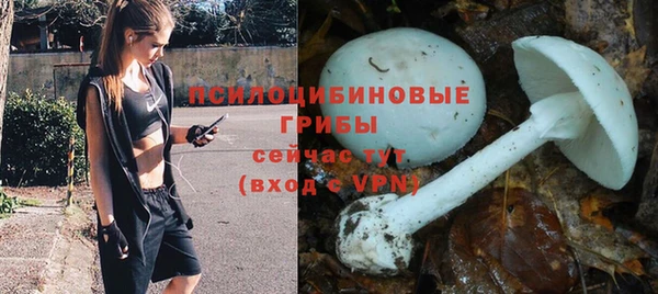 a pvp Снежногорск