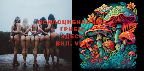 спайс Семёнов