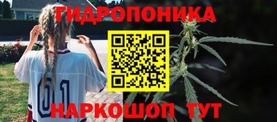 Альфа ПВП Можайск
