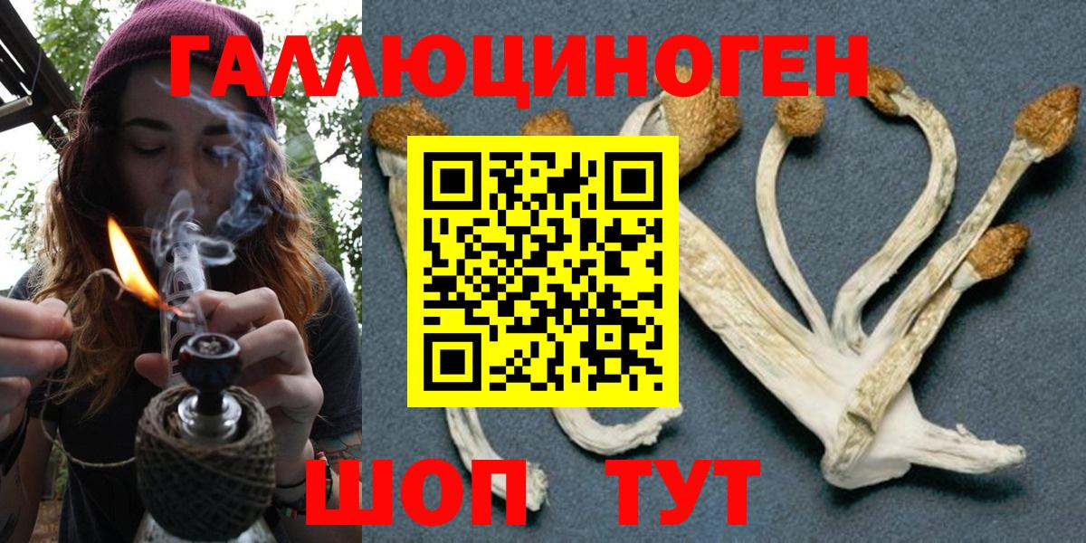Псилоцибиновые грибы ЛСД Липецк